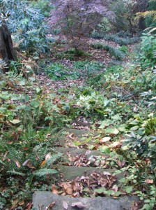 fallcolor201111411-026