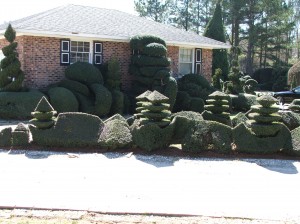 nctrips210-0241