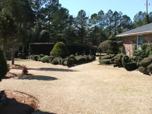 nctrips210-036