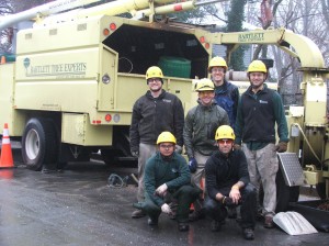 treework12312 Here is the crew of seasoned professionals!
