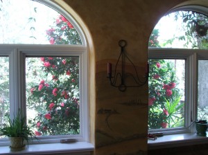 woodlandcottage31712-018 The same Camellia, looking out through the dining room windows...