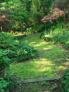 deffhickeycamwdlndcott51209-058 Mossy pathways at Woodland Cottage