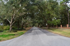 062 And a lovely, canopied street here in Wilmington--appropriately called Live Oak Drive