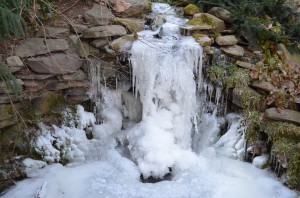 Frozen pond/waterfall, Woodland Cottage, Winter 2014