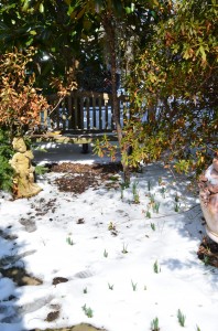 ...to this (Arlington, VA, March 6, 2014)