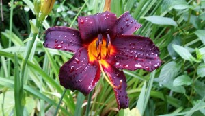 20150702_172324 (2)