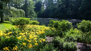 Longwood.Grdns.7.15